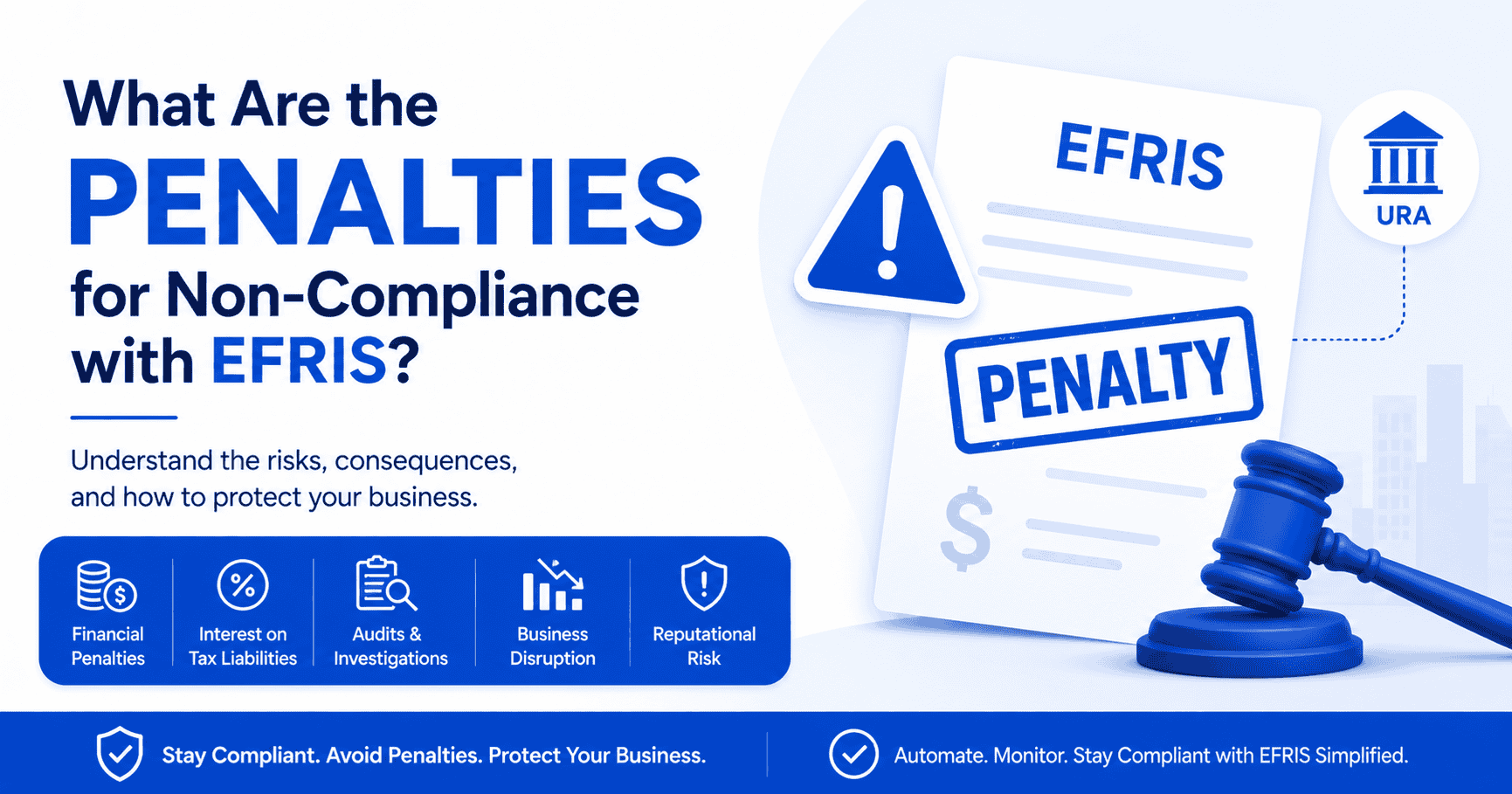 What Are the Penalties for Non-Compliance with EFRIS?