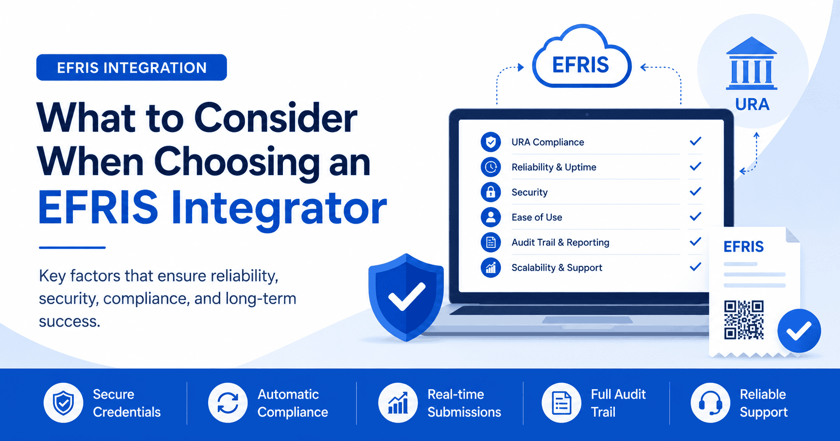 What to Consider When Choosing an EFRIS Integrator